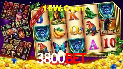 3800Bet Rio de Janeiro - Slot Strategy